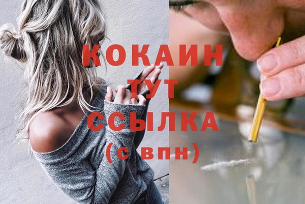 стаф Белокуриха