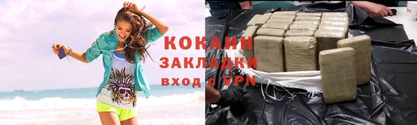 шишки Беломорск