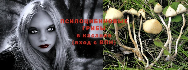 шишки Беломорск