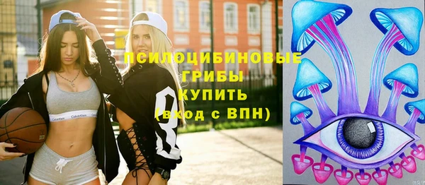 а пвп мука Богданович