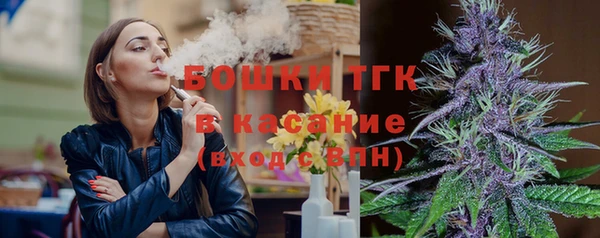 стаф Белокуриха
