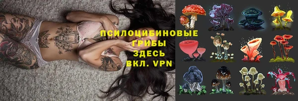 шишки Беломорск