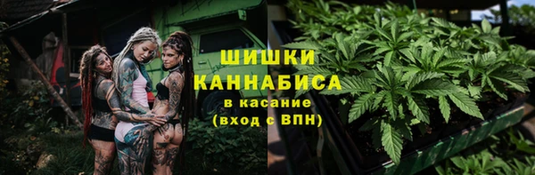 МДПВ Богородицк
