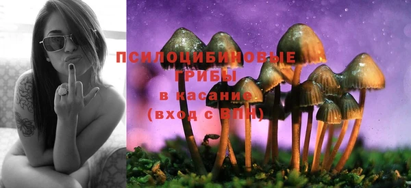 стаф Белокуриха