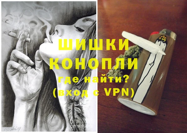 шишки Беломорск