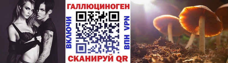 Псилоцибиновые грибы Magic Shrooms  закладка  Дубна 